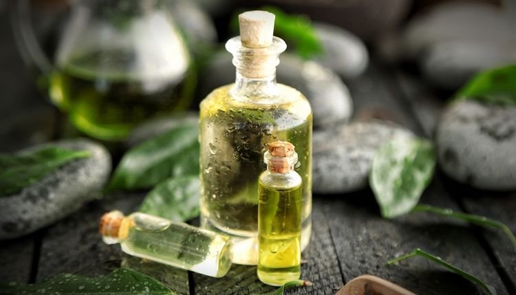زيت الشاي الاخضر للوجه لعلاج الثآليل المائية وفي الصورة ثلاث عبوات من زيت الشاي الأخضر