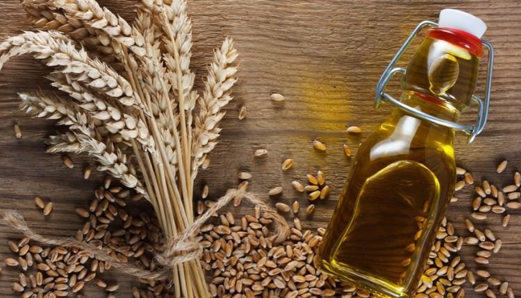 زيت جنين القمح لتكبير الثدي