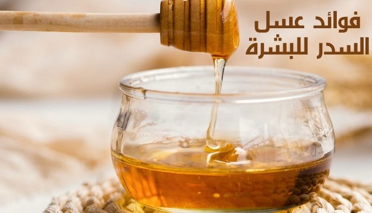 فوائد عسل السدر للبشرة Benefits of Sidr honey for the skin